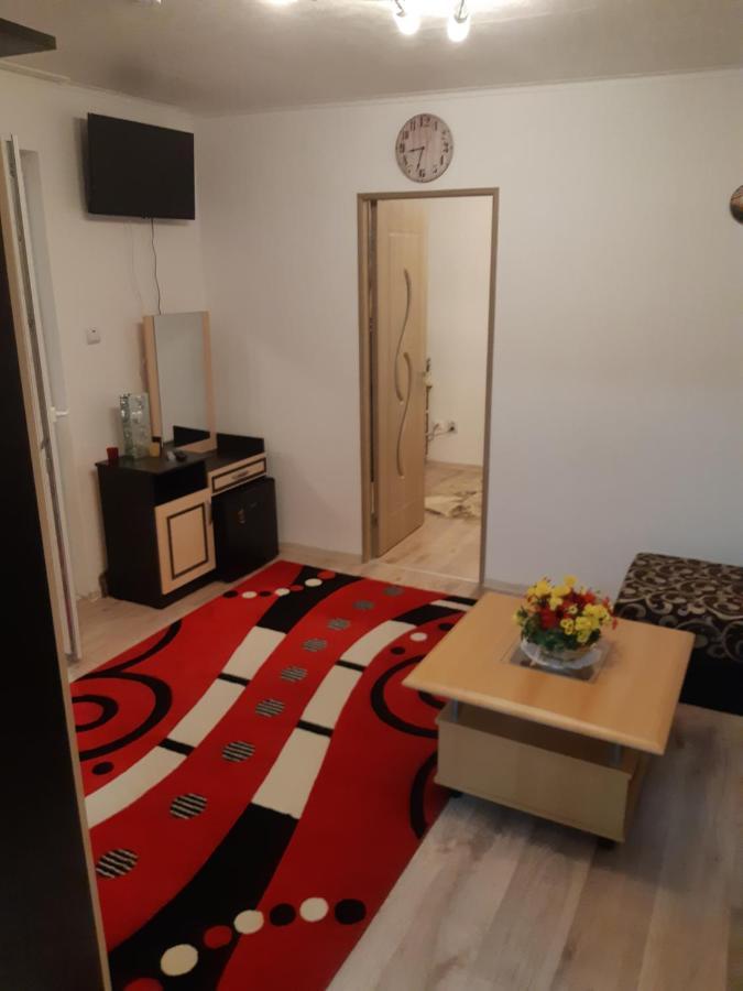 Florin Apartament Sighişoara Exterior foto