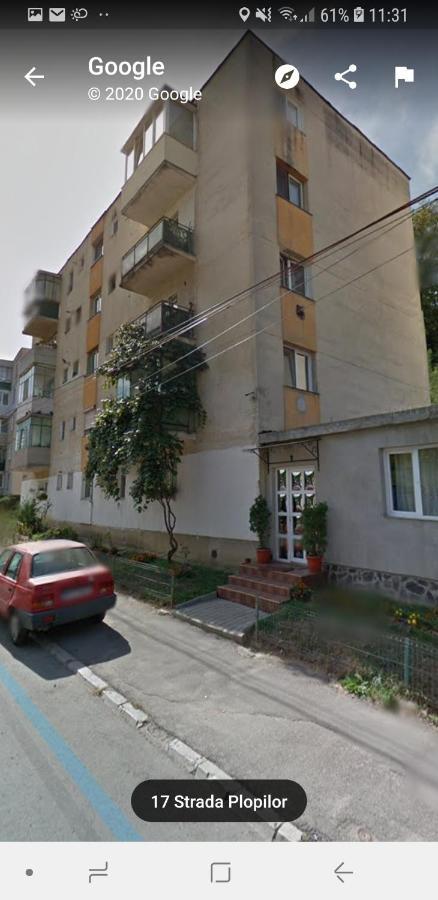Florin Apartament Sighişoara Exterior foto