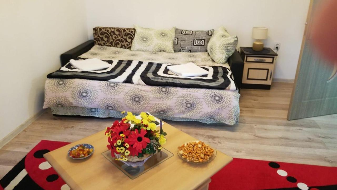 Florin Apartament Sighişoara Exterior foto