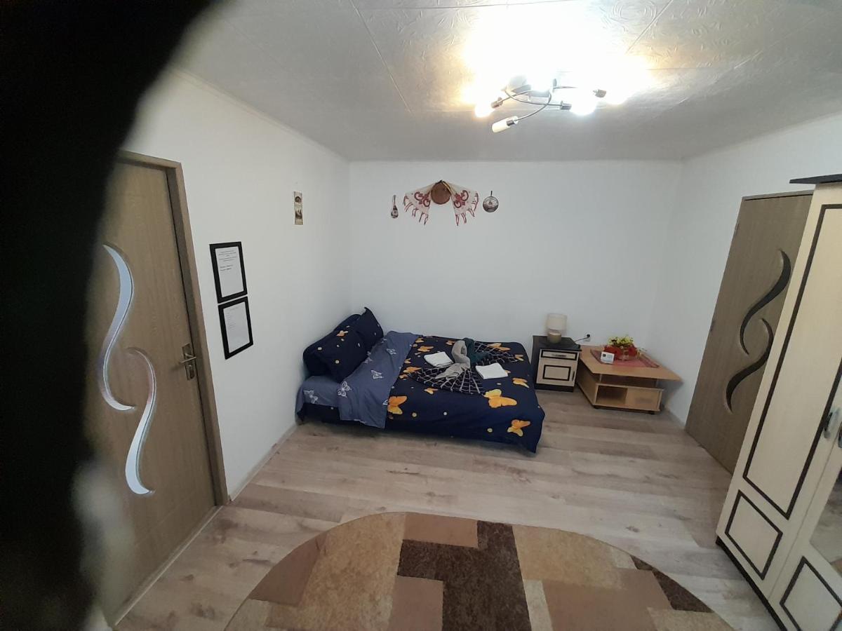 Florin Apartament Sighişoara Exterior foto